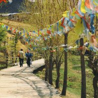 Nữ nhà báo chia sẻ hành trình khám phá Shangri-la, Lệ Giang, Đại Lý 9 ngày với 12 triệu đồng