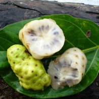 Những món ăn được coi là quái lạ trên thế giới