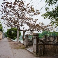 Ngôi làng điển hình cho vùng quê Bắc Bộ khi xưa