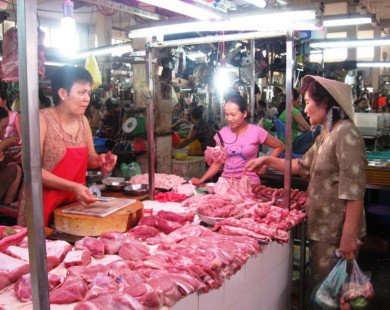 Sốc nặng: Giá lợn còn 10.000 đồng, Hà Nội sẽ tiêu diệt bớt lợn nái