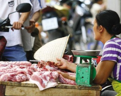 Giá lợn hơi đang tăng sau các cuộc giải cứu