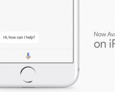 Google Assistant có mặt trên iPhone