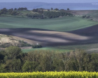 Thả hồn trên cánh đồng xanh mượt đẹp như tranh ở Czech