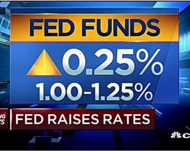 Fed tăng lãi suất bất chấp lạm phát giảm, thu hẹp dự trữ trái phiếu 4,5 nghìn tỷ USD