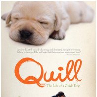 5 phim Nhật siêu đáng yêu cho các "con sen" mê thú cưng