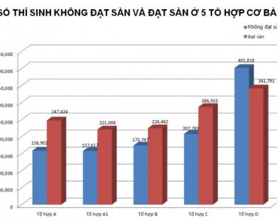 Nam Định dẫn đầu về tỷ lệ thí sinh đạt điểm từ sàn trở lên
