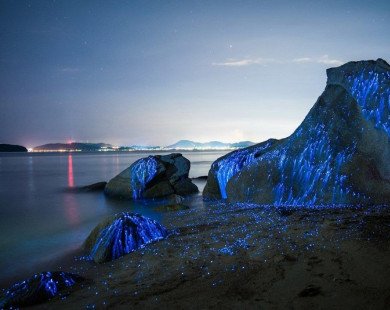Chiêm ngưỡng vẻ đẹp huyền ảo của 5 bờ biển phát quang vào ban đêm