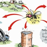 9 biện pháp đơn giản ngừa sốt xuất huyết