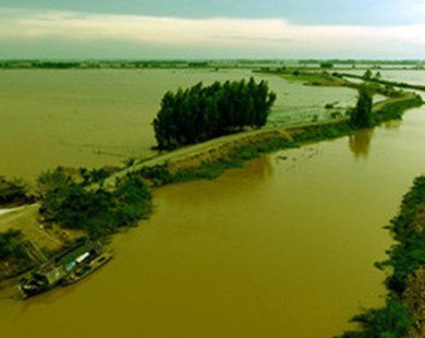 Đầu tư gần 1.200 tỷ đồng xây đê bao sông Mang Thít