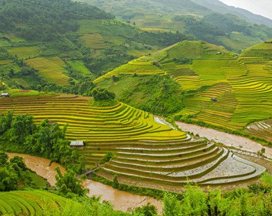 Việt Nam lọt top 20 đất nước đẹp nhất thế giới