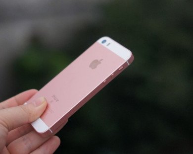 Quên iPhone X đi, smartphone Apple tốt nhất có giá chỉ 350 USD