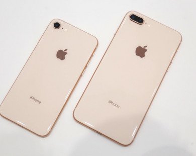 iPhone 8 sắp về Việt Nam, người dùng rủ nhau mua iPhone 7