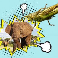 Mai Linh sẽ đấu được "voi" Uber, Grab nhờ lựa chọn cực kỳ thông minh: xe ôm công nghệ?