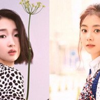 Những mỹ nhân mang danh nấm lùn nhưng tài năng cũng như thành tựu cực kỳ đáng ngưỡng mộ