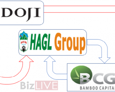Cú bắt tay “bất ngờ” của Doji và Bamboo Capital hay “tất yếu” trong bộ ba Doji - Bamboo - HAG?