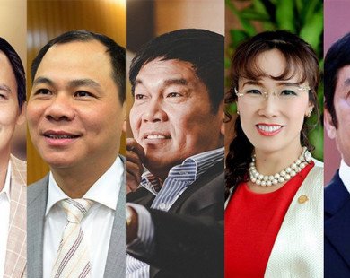 Ai giàu nhất sàn chứng khoán Việt Nam năm 2017