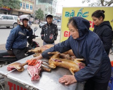 Tranh cãi việc ăn thịt chó ‘giải hạn’, cầu may mắn trong năm mới Mậu Tuất 2018