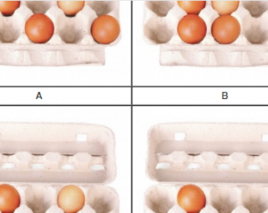 Chọn cách xếp trứng vào hộp để biết điểm mạnh của bản thân