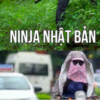 Bạn nguy hiểm theo kiểu nào đây?