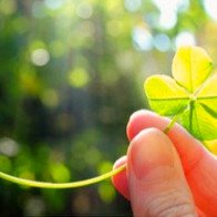 Tử vi chủ nhật ngày 11/3/2018 của 12 cung hoàng đạo