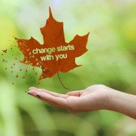 Tử vi thứ 7 ngày 17/3/2018 của 12 con giáp