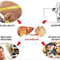Những loại thuốc gây nhiễm mỡ gan