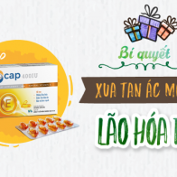 Hướng dẫn cách chọn được vitamin E tốt nhất hiện nay
