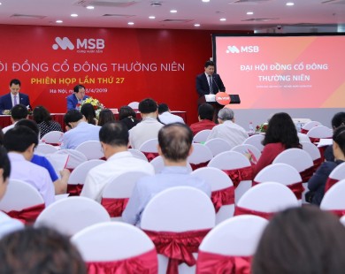 MSB bước chuyển mình lớn trong giai đoạn phát triển mới 2019 - 2023