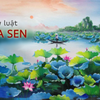 "Nếu MỘT hồ sen nở hết trong 30 ngày, vậy NỬA hồ nở hết trong 15 ngày hay 29 ngày?": Câu trả lời ẩn chứa quy luật thành công, đọc và ngẫm, ai cũng tìm thấy lợi ích cho chính mình