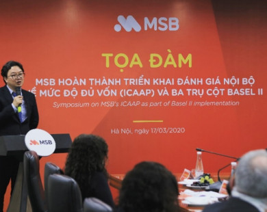 Ông Nguyễn Hoàng Linh chính thức đảm nhiệm vị trí Tổng Giám đốc của MSB