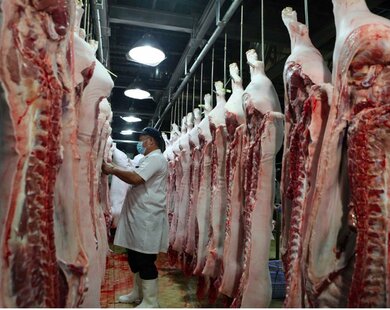 Sản lượng thịt lợn của Việt Nam đứng thứ 6 thế giới