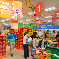 Sắm tết tại siêu thị BRGMart, Ngựa vàng khai vận 2026