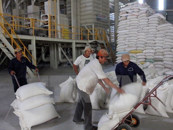 Bắt đầu thu mua tạm trữ 1 triệu tấn gạo vụ Đông Xuân 2014-2015