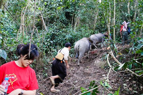 Chinh phục đỉnh Pha Luông - nóc nhà Mộc Châu