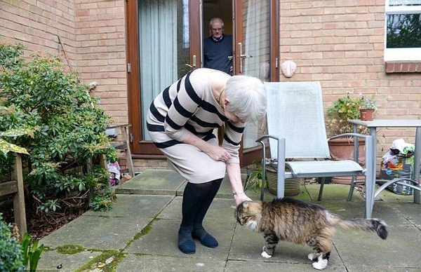 Mèo cưng trở về sau hai tuần... bị thiêu