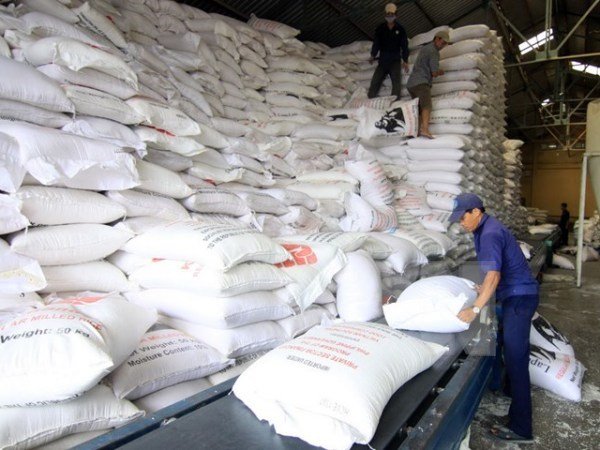 SHB dành 3.000 tỷ đồng cho vay thu mua tạm trữ thóc gạo