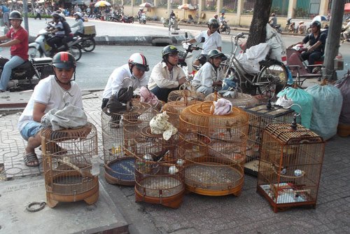 Lạ lùng chợ côn trùng chỉ rộng... 30m2