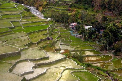 Ruộng bậc thang 2.000 năm tuổi ở Philippines