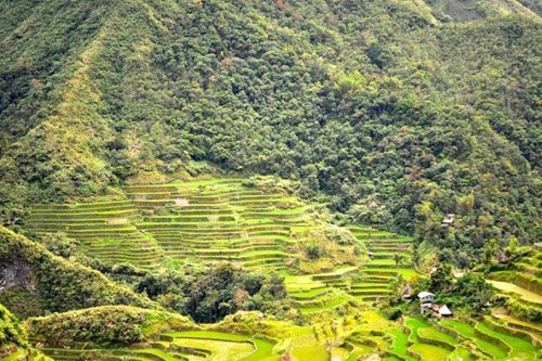 Ruộng bậc thang 2.000 năm tuổi ở Philippines