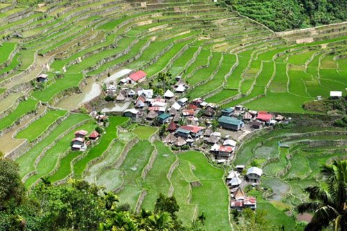 Ruộng bậc thang 2.000 năm tuổi ở Philippines