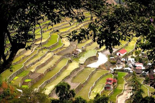 Ruộng bậc thang 2.000 năm tuổi ở Philippines