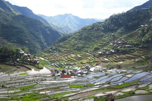 Ruộng bậc thang 2.000 năm tuổi ở Philippines