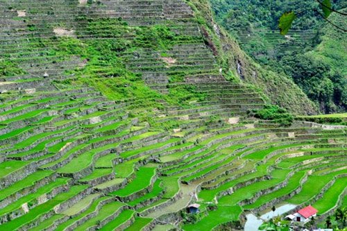 Ruộng bậc thang 2.000 năm tuổi ở Philippines