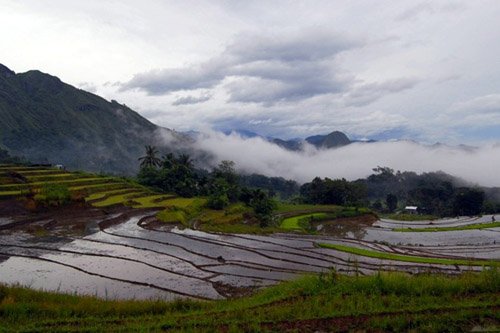 Ruộng bậc thang 2.000 năm tuổi ở Philippines