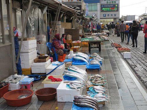 Chợ hải sản tại Busan - Điểm nhấn trong du lịch Hàn Quốc