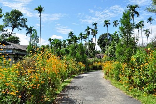 Những điều lạ lùng ở Ấn Độ