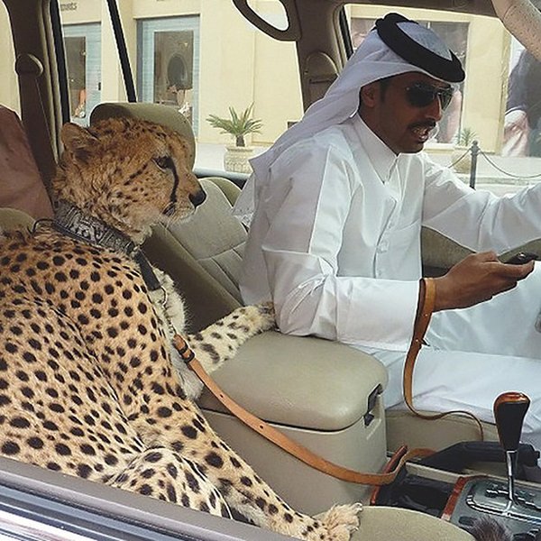 Những điều điên rồ thể hiện sự giàu có của Dubai