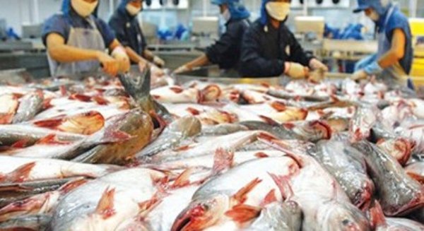 Mỹ áp đặt quy định khắt khe hơn đối với mặt hàng cá da trơn
