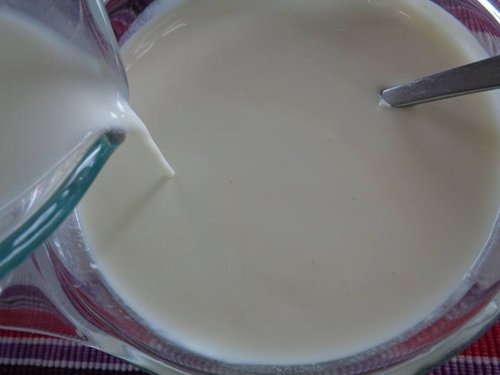 Bật mí cách làm sữa chua ngon dẻo nhất tại nhà
