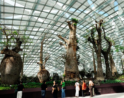 Supertrees, Cloud Forest: - Khu vườn nhân tạo đẹp nhất Singapore